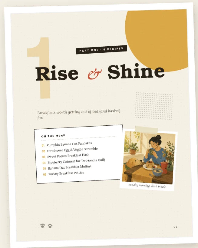 Rise & Shine — chapter opener