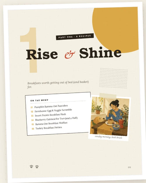 Rise & Shine — chapter opener
